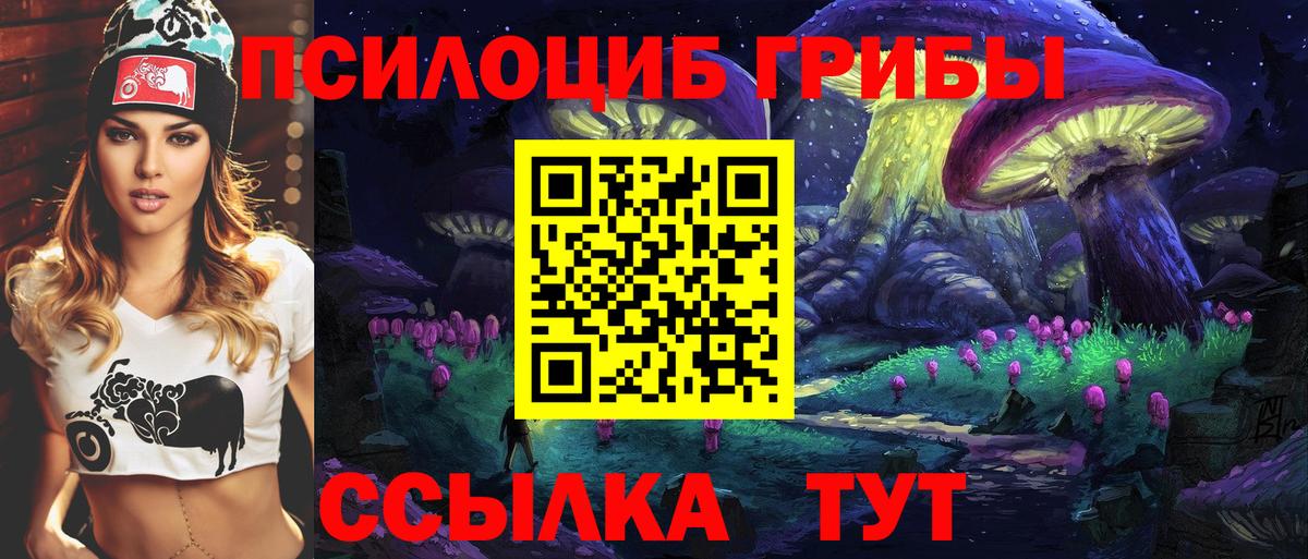 Галлюциногенные грибы GOLDEN TEACHER  Вход с VPN  Россия  Псилоцибиновые грибы Psilocybe 