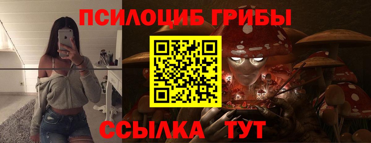 Псилоцибиновые грибы Magic Shrooms  Россия  Псилоцибиновые грибы ЛСД 